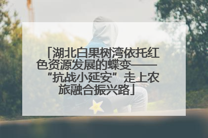 湖北白果树湾依托红色资源发展的蝶变——“抗战小延安”走上农旅融合振兴路