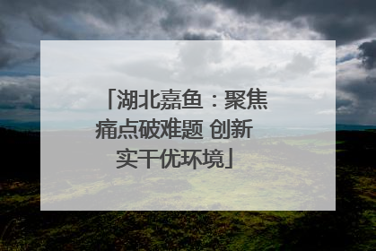 湖北嘉鱼：聚焦痛点破难题 创新实干优环境