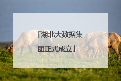 湖北大数据集团正式成立