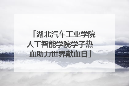 湖北汽车工业学院人工智能学院学子热血助力世界献血日