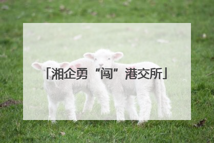 湘企勇“闯”港交所