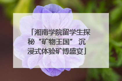 湘南学院留学生探秘“矿物王国” 沉浸式体验矿博盛宴