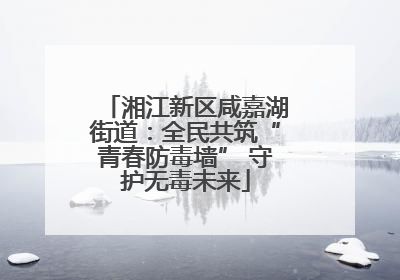 湘江新区咸嘉湖街道：全民共筑“青春防毒墙” 守护无毒未来