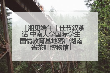 湘见端午丨佳节叙茶话 中南大学国际学生国情教育基地落户湖南省茶叶博物馆