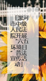 漯河市中级人民法院开展“六五环境日”普法宣传活动