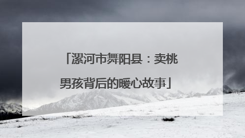 漯河市舞阳县：卖桃男孩背后的暖心故事