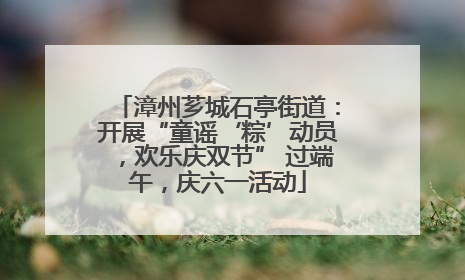 漳州芗城石亭街道：开展“童谣‘粽’动员，欢乐庆双节” 过端午，庆六一活动
