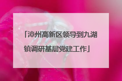 漳州高新区领导到九湖镇调研基层党建工作