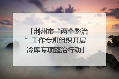 荆州市“两个整治”工作专班组织开展冷库专项整治行动
