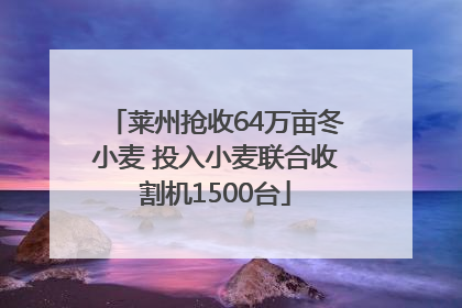 莱州抢收64万亩冬小麦 投入小麦联合收割机1500台