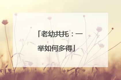 老幼共托：一举如何多得