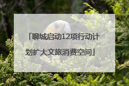 聊城启动12项行动计划扩大文旅消费空间