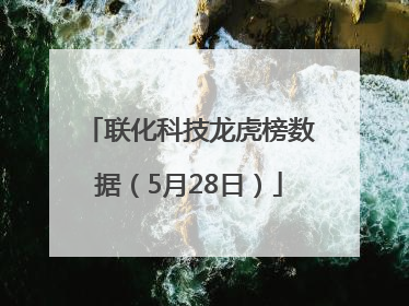 联化科技龙虎榜数据（5月28日）