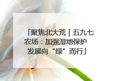 聚焦北大荒｜五九七农场：加强湿地保护 发展向“绿”而行