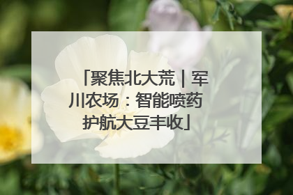 聚焦北大荒｜军川农场：智能喷药护航大豆丰收