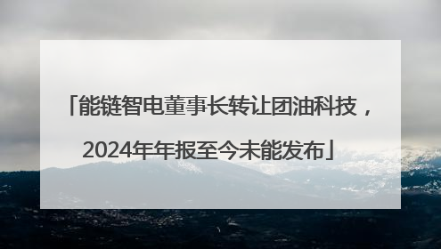 能链智电董事长转让团油科技，2024年年报至今未能发布