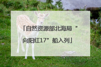 自然资源部北海局“向阳红17”船入列