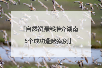 自然资源部推介湖南5个成功避险案例