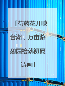 芍药花开映台湖，万亩游憩园绘就初夏诗画