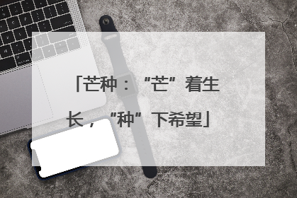 芒种：“芒”着生长，“种”下希望
