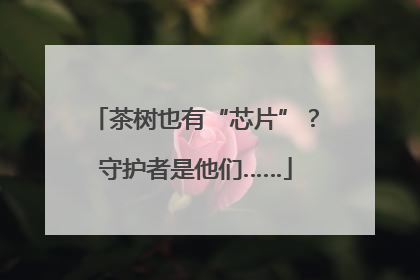 茶树也有“芯片”？守护者是他们……