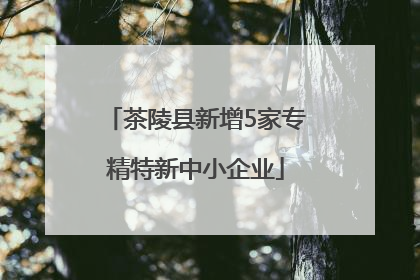 茶陵县新增5家专精特新中小企业