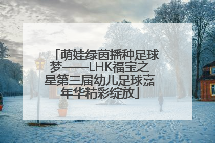 萌娃绿茵播种足球梦——LHK福宝之星第三届幼儿足球嘉年华精彩绽放