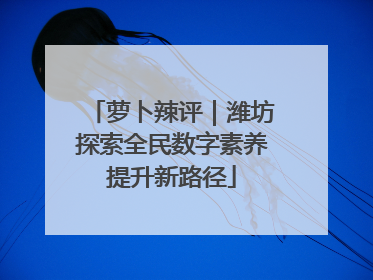萝卜辣评｜潍坊探索全民数字素养提升新路径