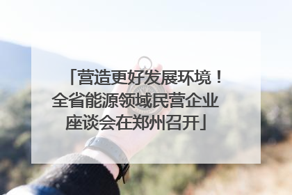 营造更好发展环境！全省能源领域民营企业座谈会在郑州召开