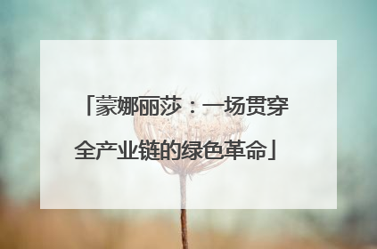 蒙娜丽莎：一场贯穿全产业链的绿色革命