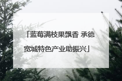 蓝莓满枝果飘香 承德宽城特色产业助振兴
