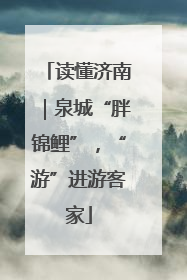 读懂济南｜泉城“胖锦鲤”，“游”进游客家
