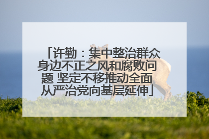 许勤：集中整治群众身边不正之风和腐败问题 坚定不移推动全面从严治党向基层延伸