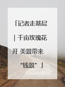 记者走基层｜千亩玫瑰花开 美景带来“钱景”