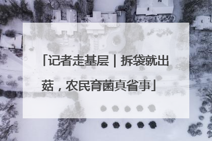 记者走基层｜拆袋就出菇，农民育菌真省事