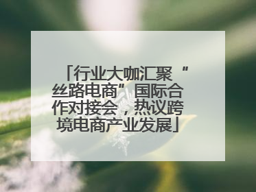 行业大咖汇聚“丝路电商”国际合作对接会，热议跨境电商产业发展