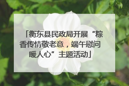 衡东县民政局开展“粽香传情敬老意，端午慰问暖人心”主题活动