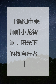 衡阳市耒师附小龙智英：阳光下的教育行者