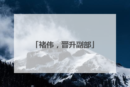 褚伟，晋升副部