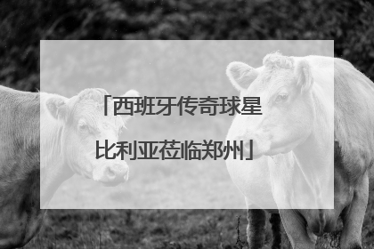 西班牙传奇球星 比利亚莅临郑州