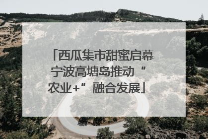 西瓜集市甜蜜启幕 宁波高塘岛推动“农业+”融合发展