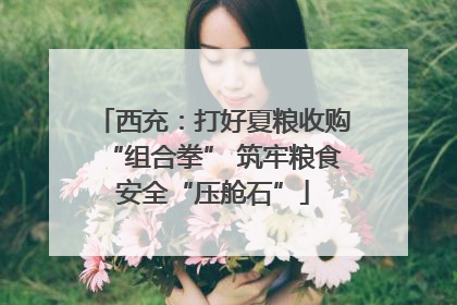 西充：打好夏粮收购“组合拳” 筑牢粮食安全“压舱石”