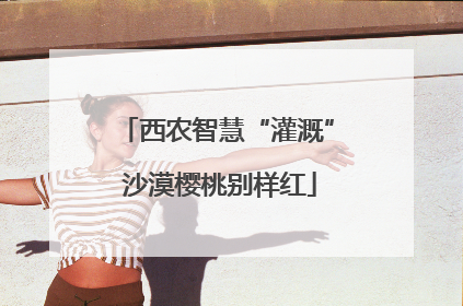 西农智慧“灌溉” 沙漠樱桃别样红