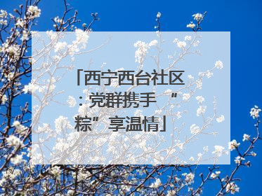 西宁西台社区：党群携手 “粽”享温情