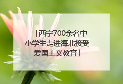 西宁700余名中小学生走进海北接受爱国主义教育