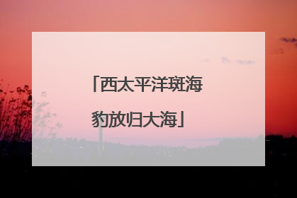 西太平洋斑海豹放归大海