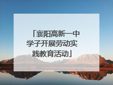 襄阳高新一中学子开展劳动实践教育活动