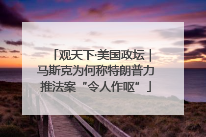 观天下·美国政坛｜马斯克为何称特朗普力推法案“令人作呕”