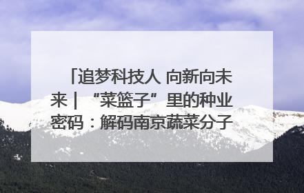 追梦科技人 向新向未来｜“菜篮子”里的种业密码：解码南京蔬菜分子育种的创新之路