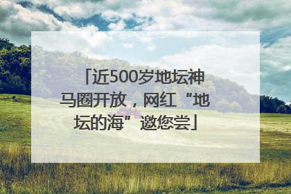 近500岁地坛神马圈开放，网红“地坛的海”邀您尝